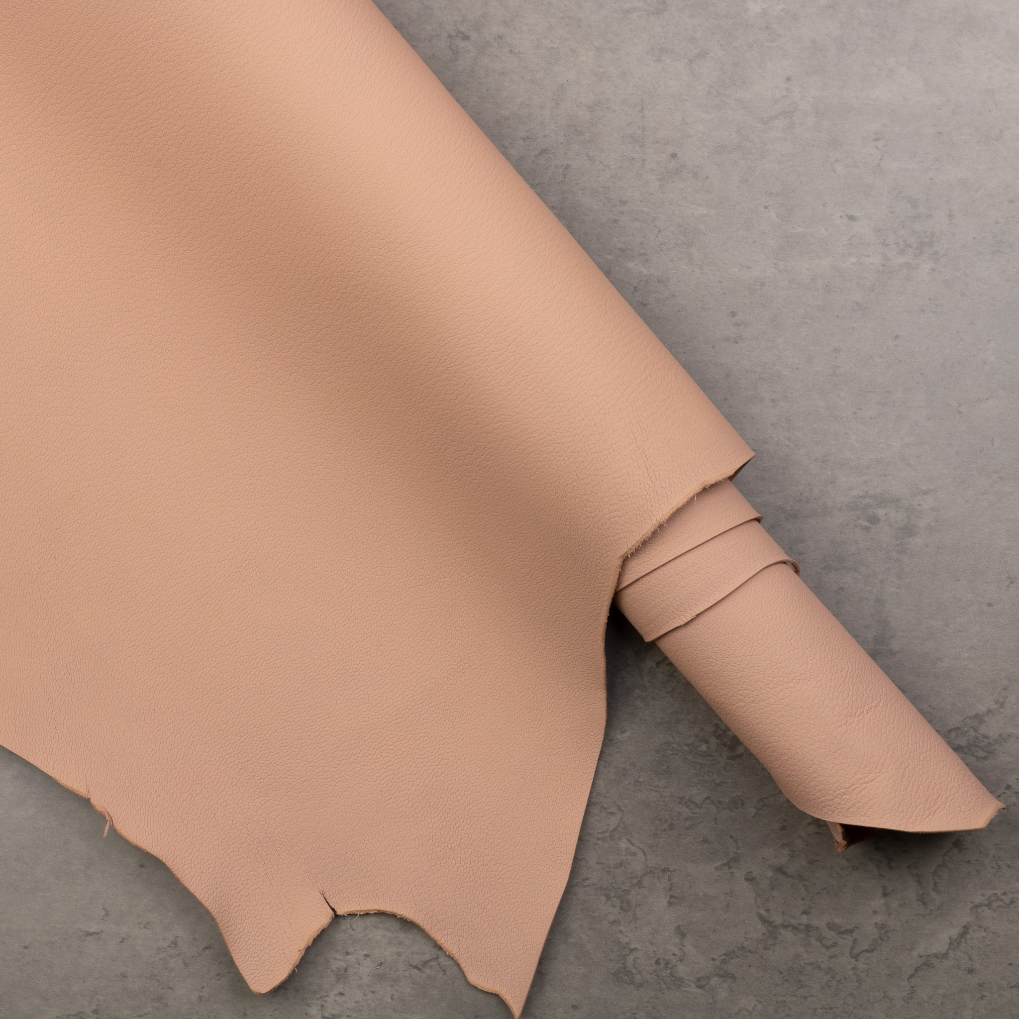 ALRAN FRENCH GOAT - ROSE POUDRE