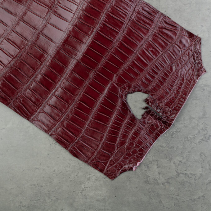 CROCODILE TAIL & HEAD