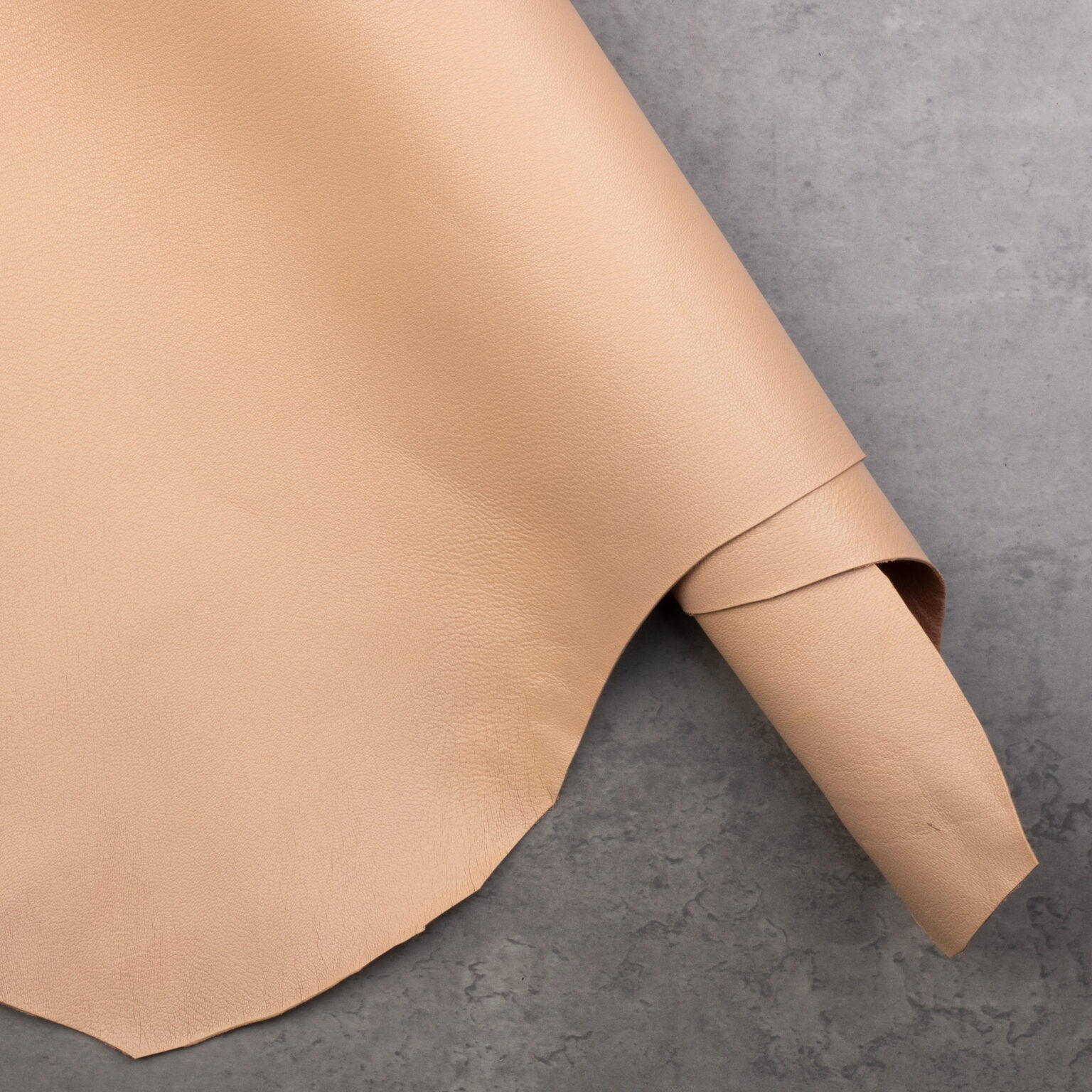 ALRAN FRENCH GOAT – COQUILLE - Belts Production