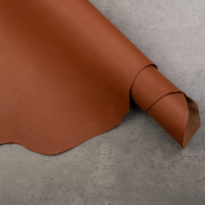 ALRAN FRENCH GOAT - NOISETTE