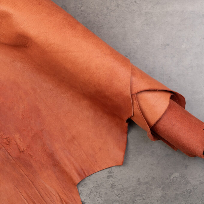 CAPALBIO HORSE AVANCORPO