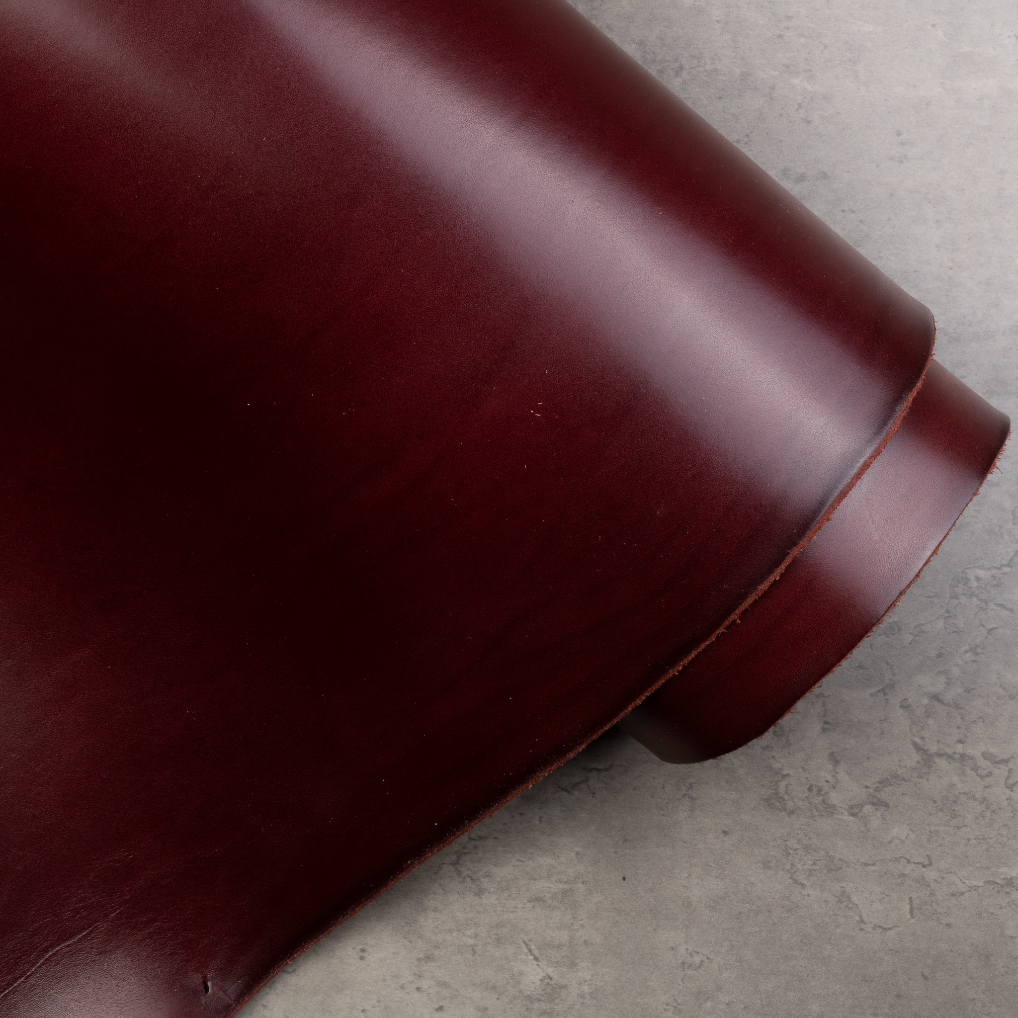 CONCERIA WALPIER DASH