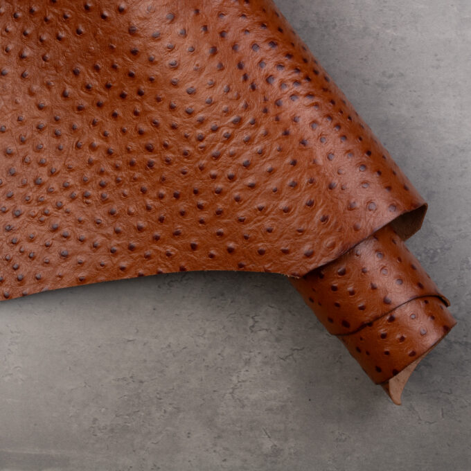 CONCERIA WALPIER OSTRICH EMBOSSED