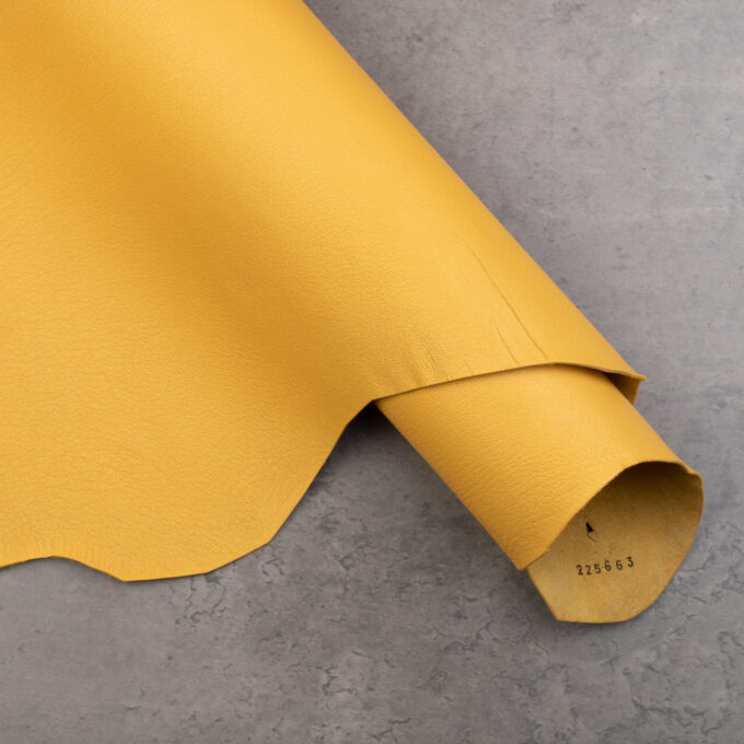 ALRAN FRENCH GOAT - SOLEIL