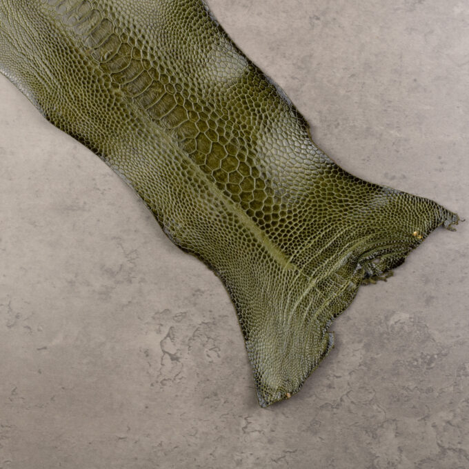 OTRICH LEG LEATHER