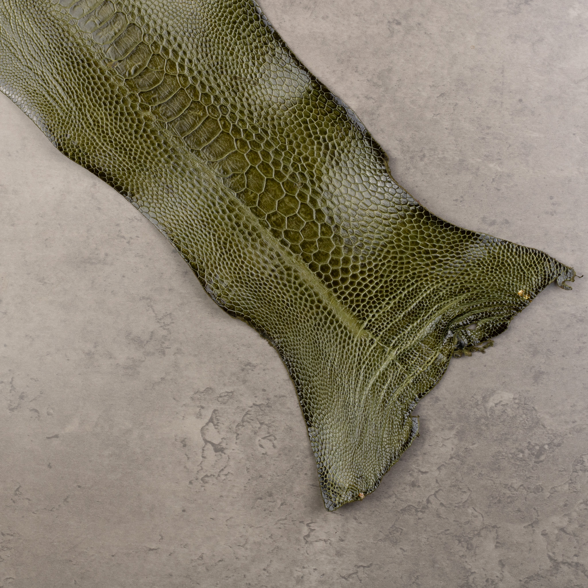 OTRICH LEG LEATHER - Image 2
