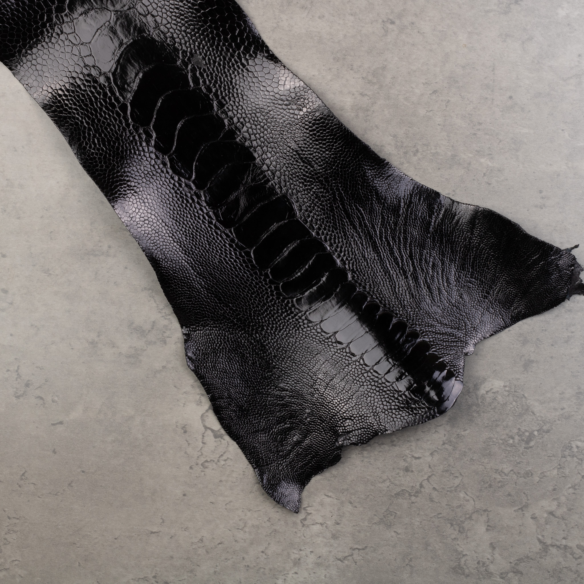 OTRICH LEG LEATHER - Image 3