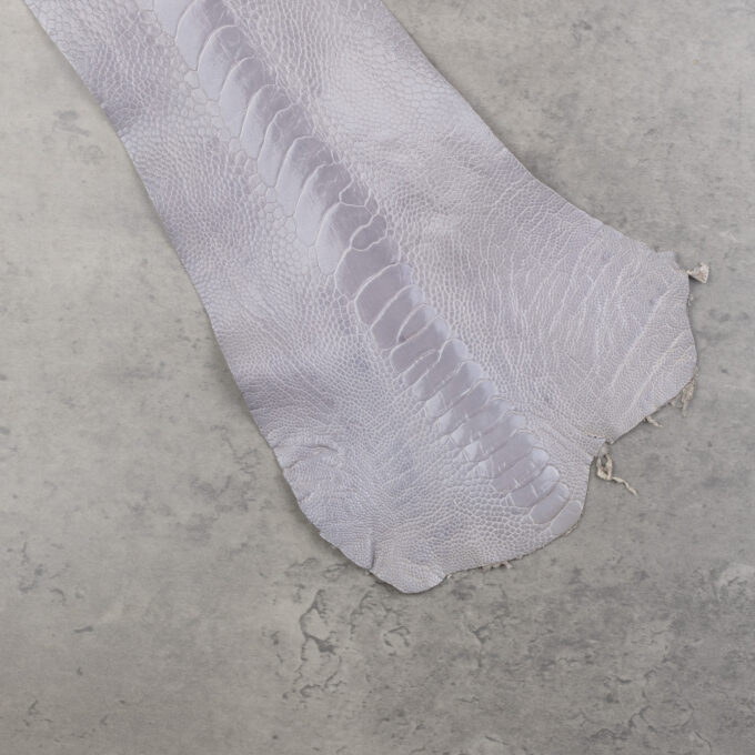 OTRICH LEG LEATHER