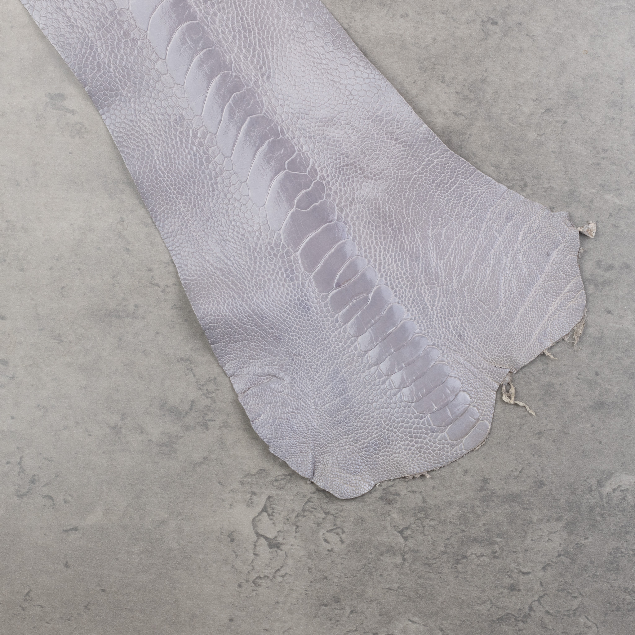 OTRICH LEG LEATHER - Image 6