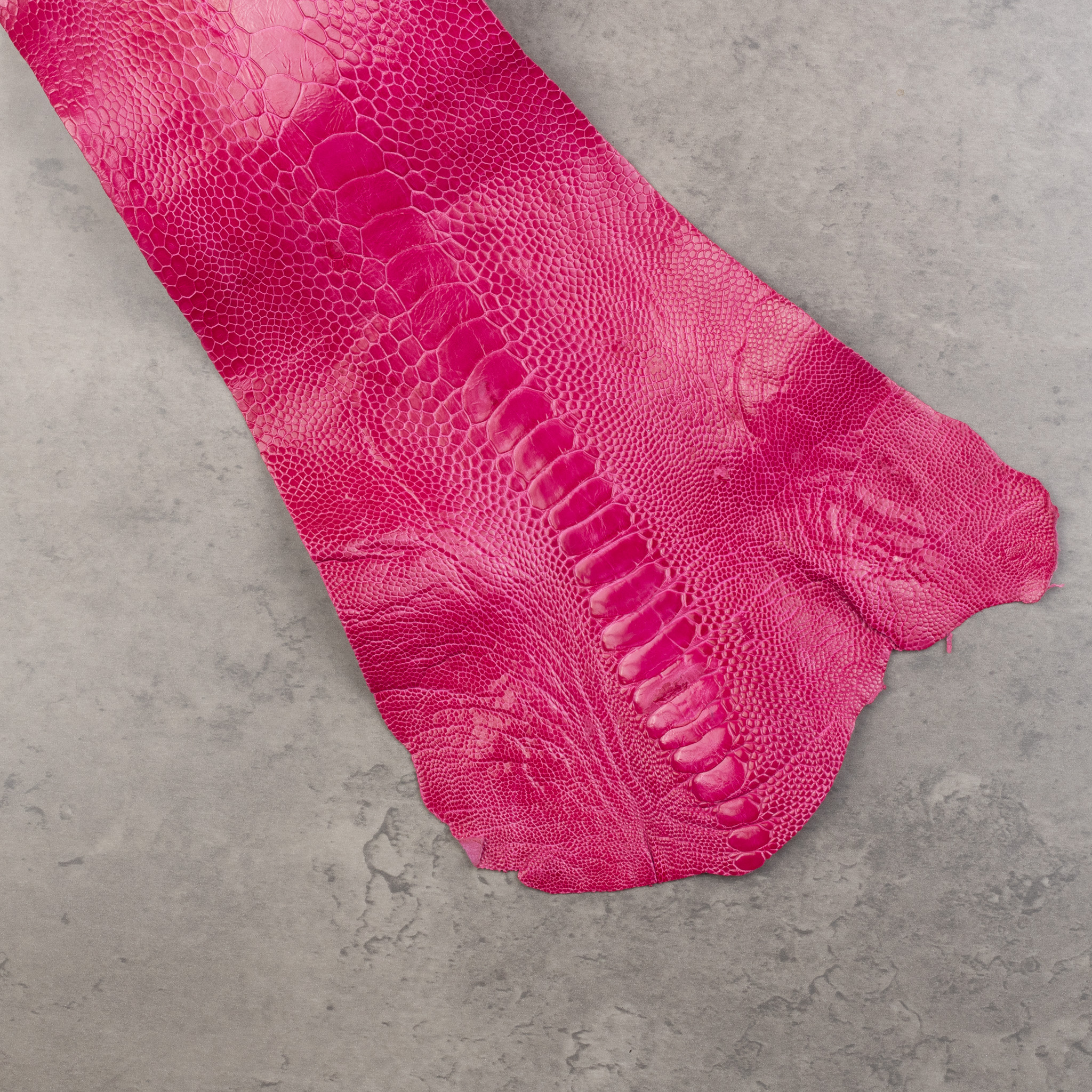 OTRICH LEG LEATHER - Image 7
