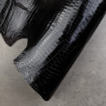 CROCODILE NILOTICUS - Black