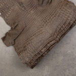 CROCODILE NILOTICUS - Antique grey
