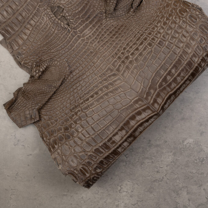 CROCODILE NILOTICUS