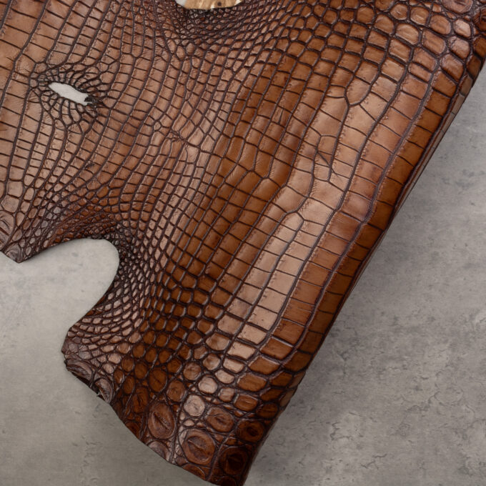 CROCODILE NILOTICUS