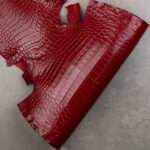 CROCODILE NILOTICUS - Dark red