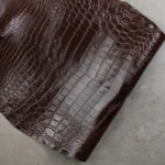 CROCODILE NILOTICUS - Dark brown