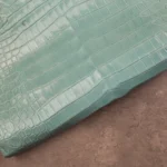 CROCODILE ALLIGATOR - Aqua