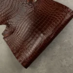 CROCODILE NILOTICUS - Brown