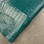 CROCODILE NILOTICUS - Turquoise