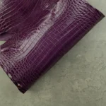 CROCODILE NILOTICUS - Purple