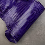 CROCODILE ALLIGATOR 1. GRADE - Purple