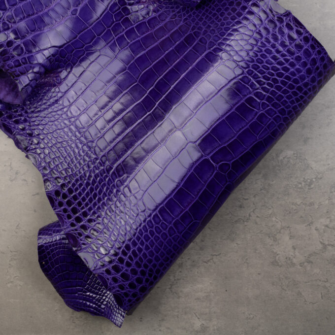 CROCODILE ALLIGATOR 1. GRADE