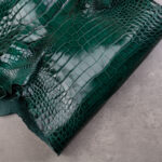 CROCODILE ALLIGATOR 1. GRADE - Green