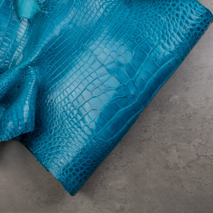 CROCODILE ALLIGATOR 1. GRADE