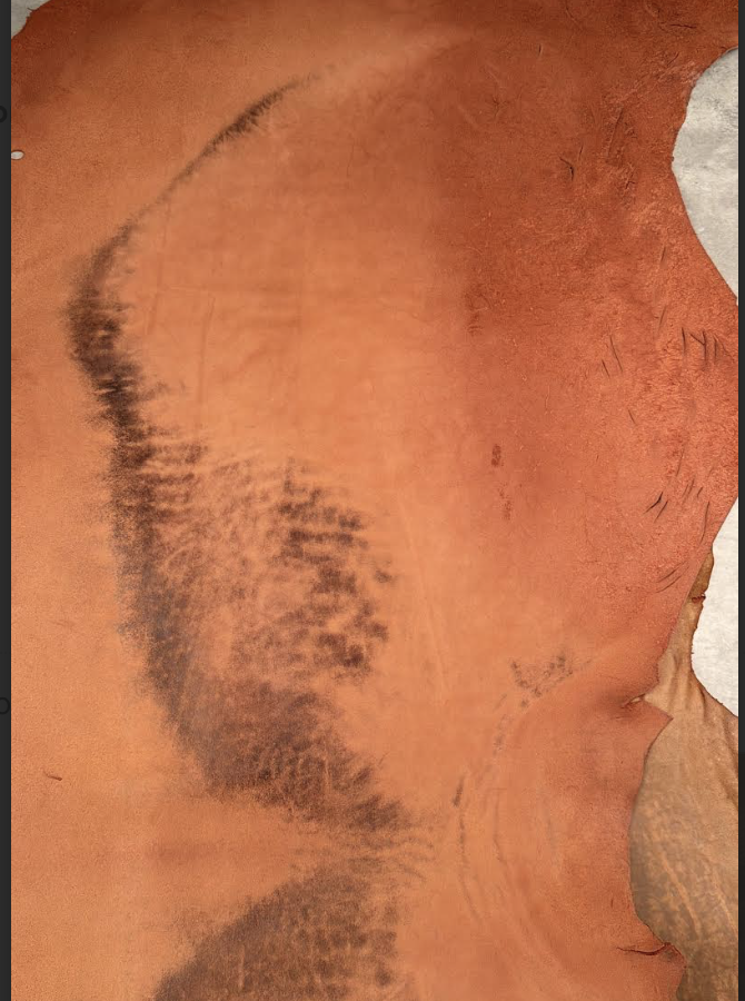CORIUM HORSE BUTT DEALS