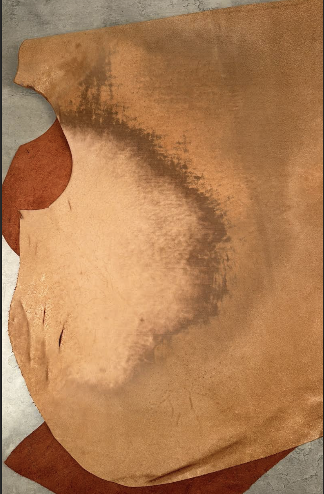 CORIUM HORSE BUTT EL PASO MATTE