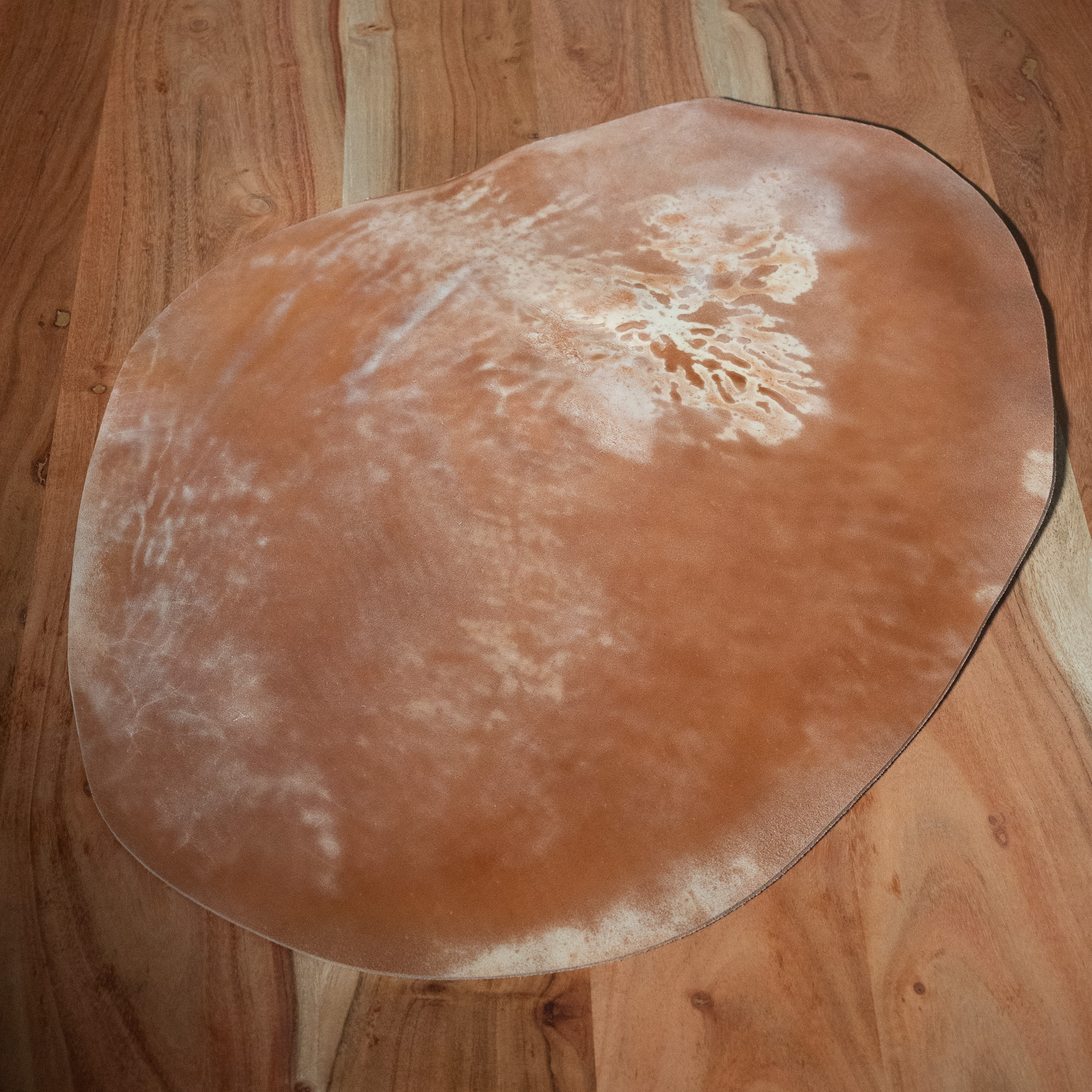 CORIUM SHELL CORDOVAN DEALS - Image 5