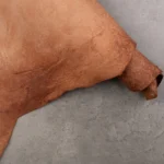 CORIUM HORSE BUTT RUGA - Whiskey