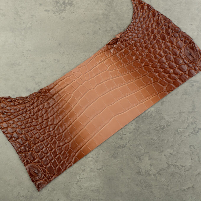 CROCODILE BELLY PANEL