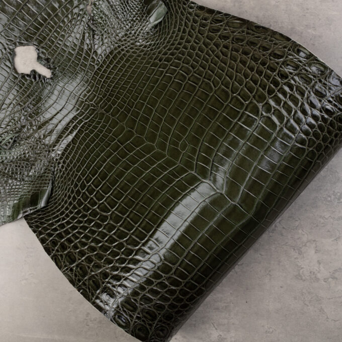 CROCODILE