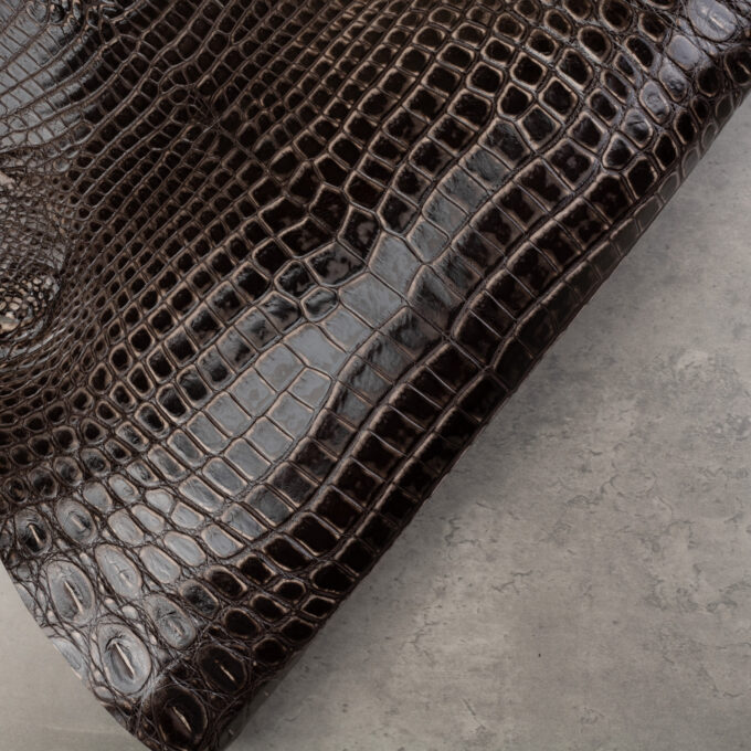 CROCODILE BELLY ONLY
