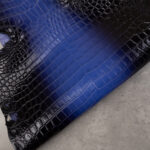 CROCODILE BELLY ONLY - Gradient Blue/Black