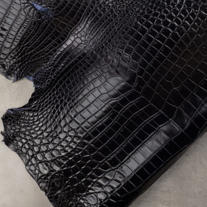 CROCODILE