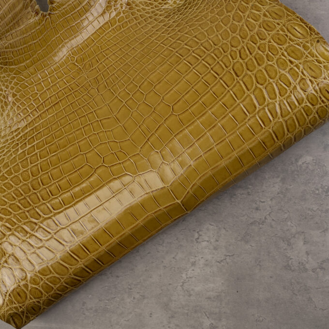 CROCODILE