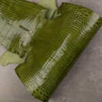 CROCODILE - Green