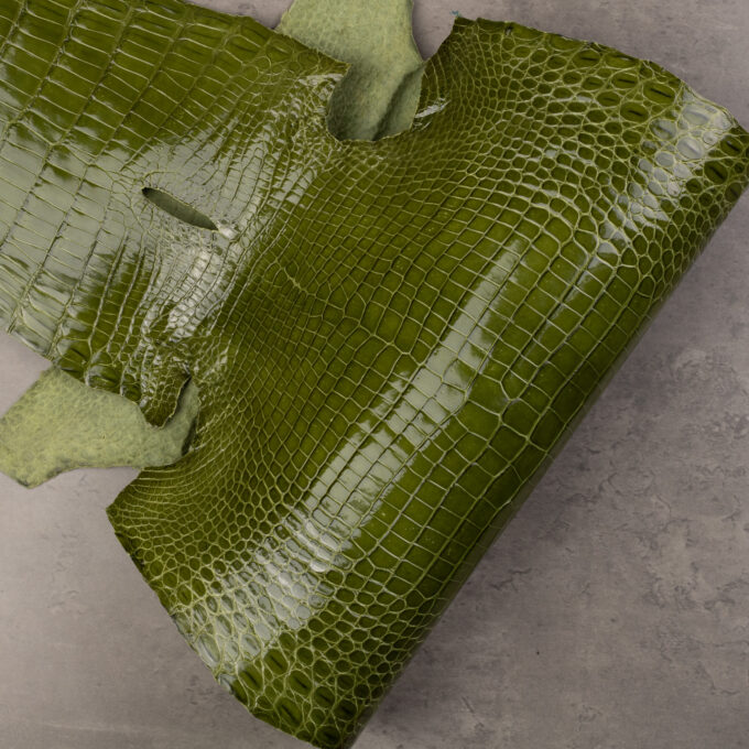 CROCODILE