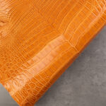 CROCODILE BELLY ONLY - Orange