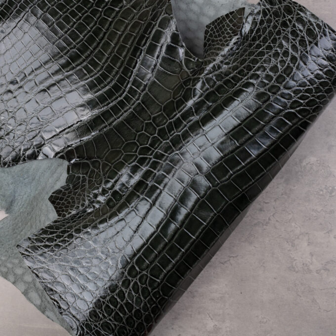 CROCODILE