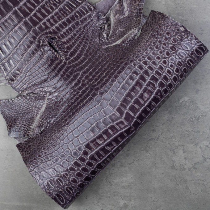 CROCODILE